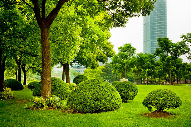 Greenscape Creation 